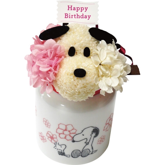 ���ԃX�k�[�s�[ Happy Birthday SN5636 �摜1