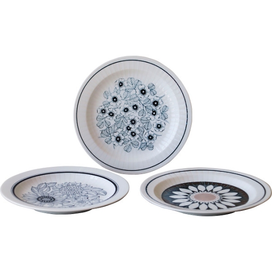 �A���e�B�R�t�����[ �g���I�p�X�^�v���[�g AF88-Y01 �摜1