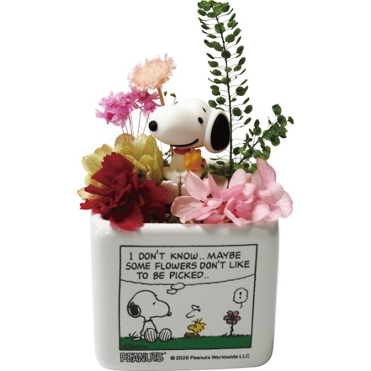 �X�k�[�s�[���g���K�[�f�� SN5612 �摜1