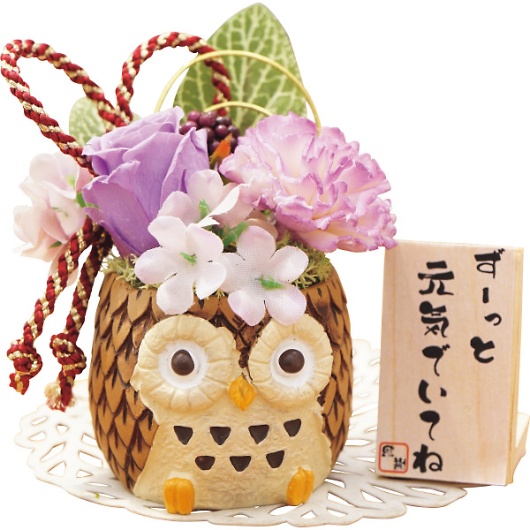 �������낤�i�v���U�[�u�h�t�����[�j �p�[�v�� 23CH3PL �摜1