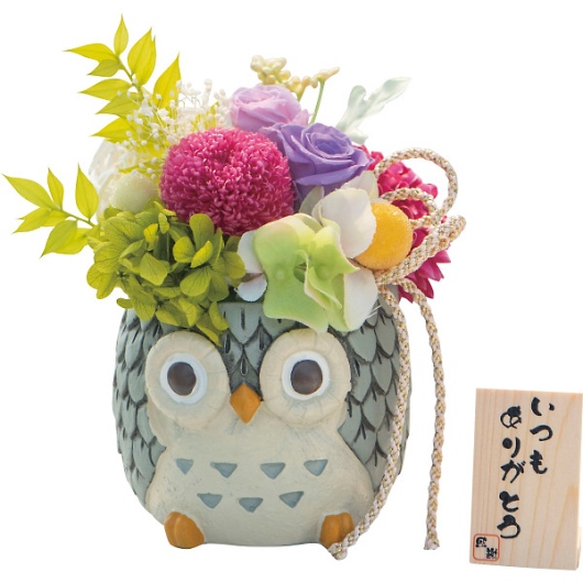 �a�������킹�ӂ��낤 �������肪�Ƃ��i�v���U�[�u�h�t�����[�j �摜1