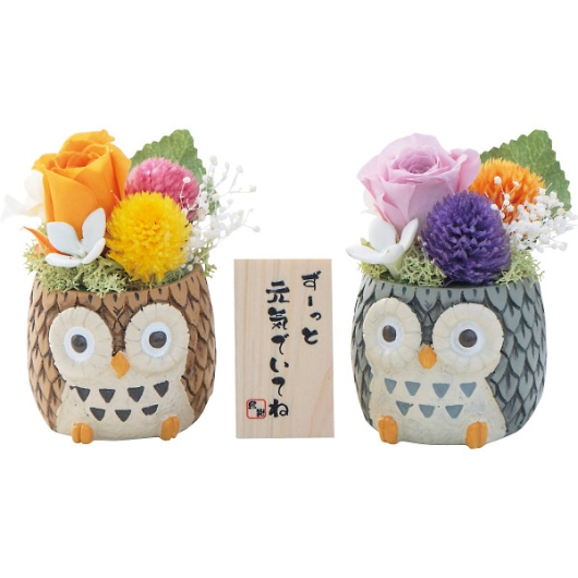 �����킹�ӂ��낤2�F�Z�b�g�i�v���U�[�u�h�t�����[�j �摜1