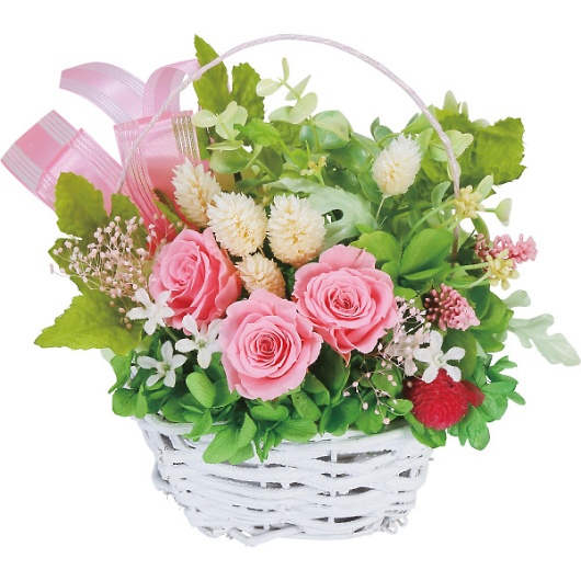 �v���U�[�u�h�t�����[�ē��� �s���N 1000136029 �摜1