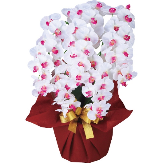 �A�[�e�B�t�B�V�����t�����[ ��� 5�{���Ӓ��� �z���C�g�r���[�e�B�[ ncr-24019-5-wb �摜1