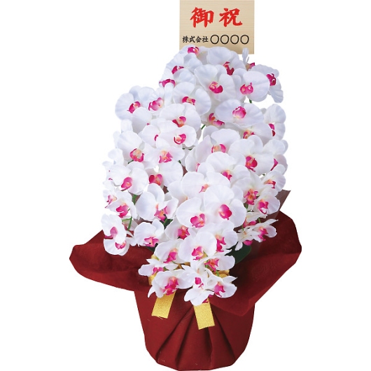 �A�[�e�B�t�B�V�����t�����[���5�{���Ӓ����i���D�t�^��������j �z���C�g�r���[�e�B�[ ncr-24019-5-wb-fd �摜1