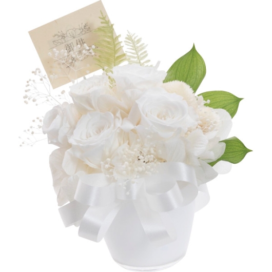 �v���U�[�u�h���� ���@ ncr-25-bk03 �摜1