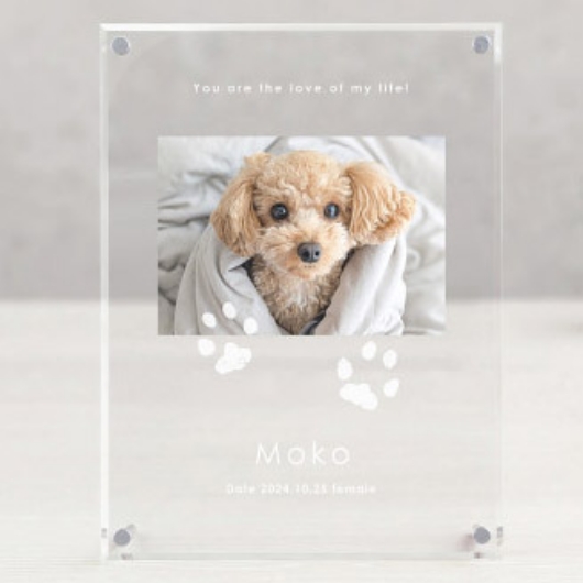 �����̎q�L�O�� �A�N�������Ă����i���d�����j P-CA10T �摜1