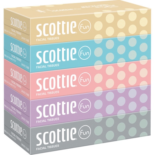 �X�R�b�e�B�t�@��120�g�i5���p�b�N�j 48811 �摜1