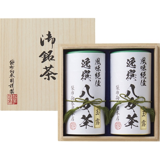 ܕzt{X l(˔) YTS-10 摜1