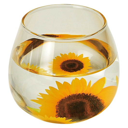 �t���[�� ����O���X �Ђ܂�� FY-1051A/B/C �摜1