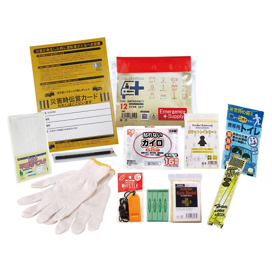 �ԍڗp�h�Ѓ|�[�`12�_�Z�b�g CP-20 �摜1