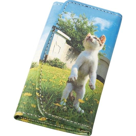 L ]̗L L[P[X TW1901 摜1