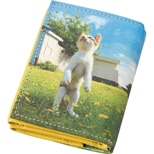 L ]̗L O܂RpNgz TW2151 摜1