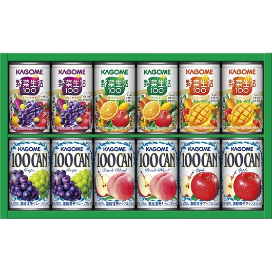 JS ₩t@~[Mtg KSR-15P 摜1