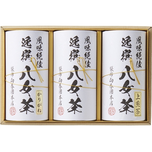 ܕzt{X l YTS-06 摜1