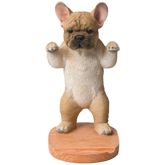 �x�j�[�Y �A�j�}���X�^���h QY-244B�i�t�����`�u���j �摜1