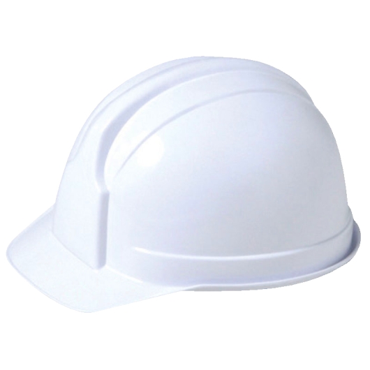 �h�Зp�w�����b�g �{�E�T�C-100 �摜1