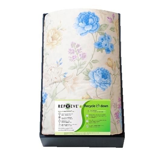 �T�X�e�B�i�u���H�э��|�z�c �u���[ KAR-20007 BL �摜1