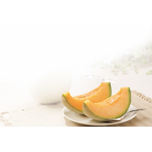 �k�C���Y JA�[�� �[���������i1�ʁj �摜2