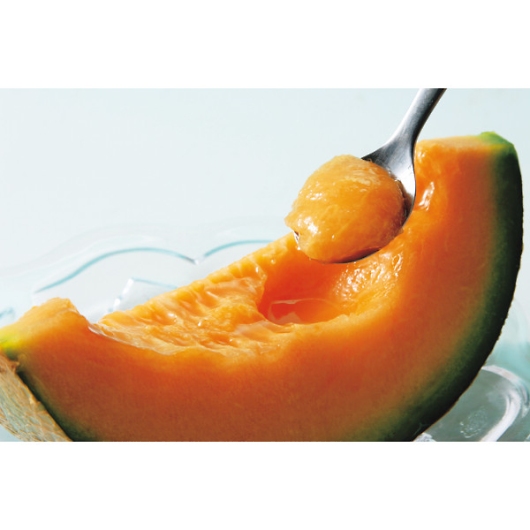 �k�C���Y JA�[�� �[���������i2�ʁj �摜2