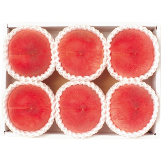 �R�����Y ���̌��Z���T�[���i1.3kg�j �摜1