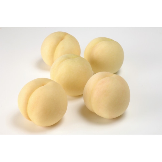 ���R���Y ���R�����i1.5kg�j �摜2