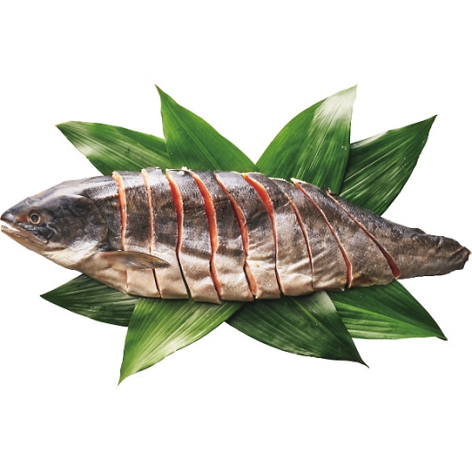 �������Y �k�C���Y ��ѐV�����p�ؐg�i���g�j �摜1