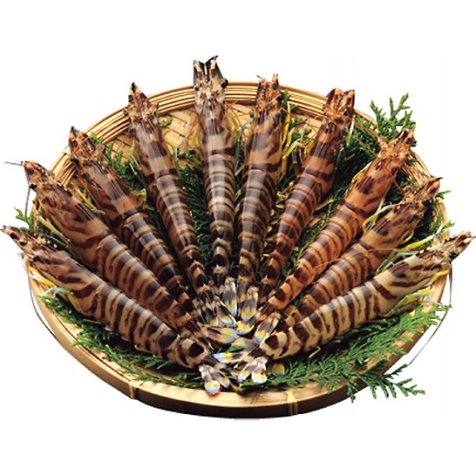 ��^�����ԊC�V�i230g�j �摜1