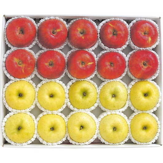 XY Tӂ񂲁сi5kgj 摜1