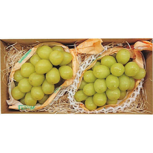 쌧Y VC}XJbgi2[j 摜1