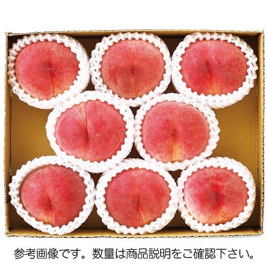 �R�����Y ������6?8�� [�Y���i] �摜1