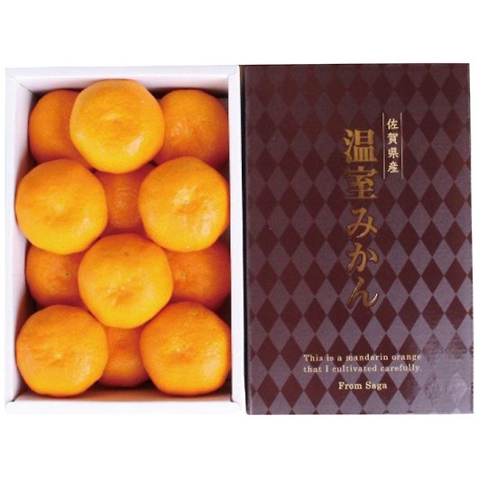 ꌧY nEX݂1kg 摜1