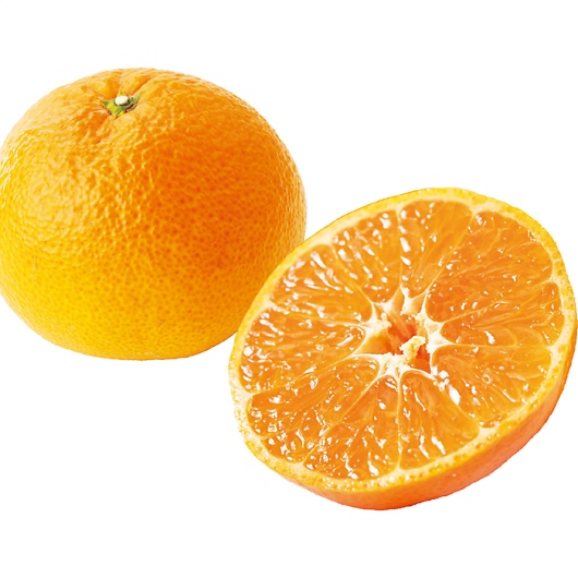 ꌧY nEX݂1kg 摜2