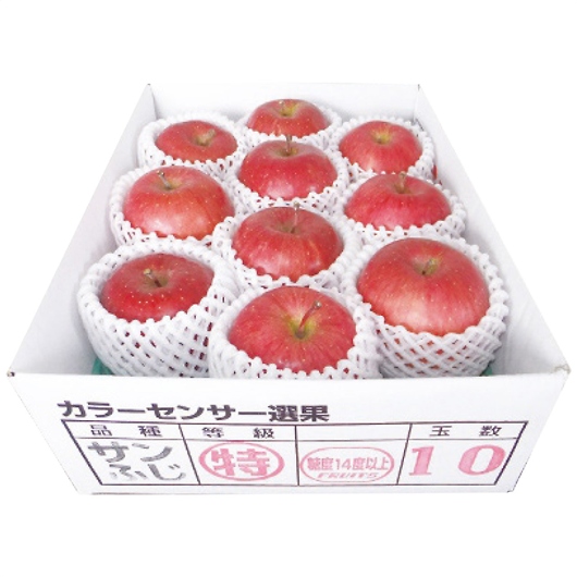 XY x14xۏ؃Tӂ2.5kg 摜1