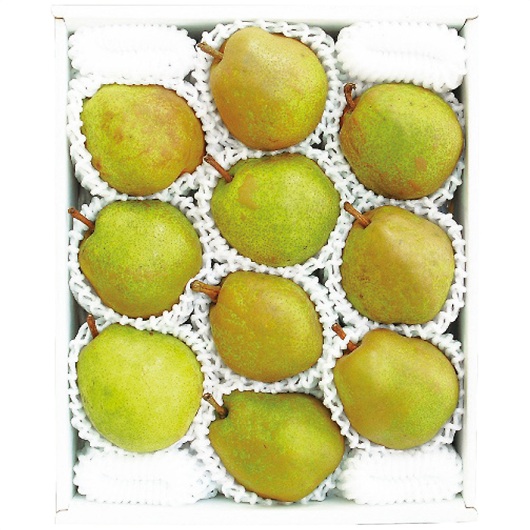 ݉̎R`YEtX3.2kg 摜1