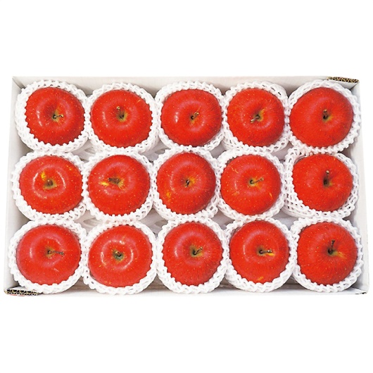 쌧Y MBTӂ 3.4kg 摜1