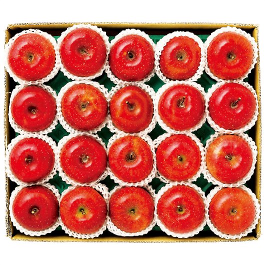 쌧Y MBTӂ 4.8kg 摜1