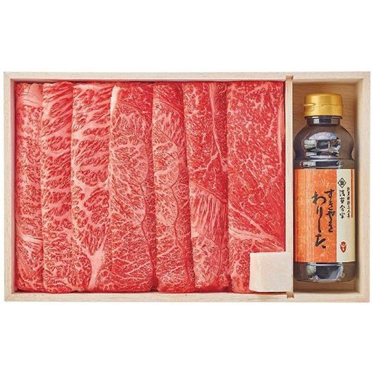 󑐍 јa ėp(艺t) AN-100W 摜1