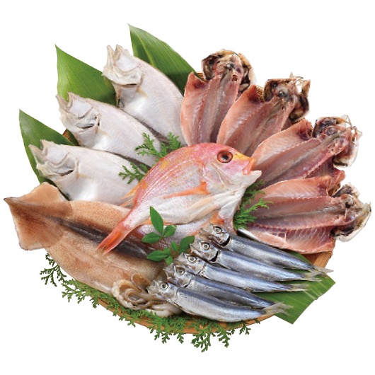 �C������ ���}�� K-1 �摜1