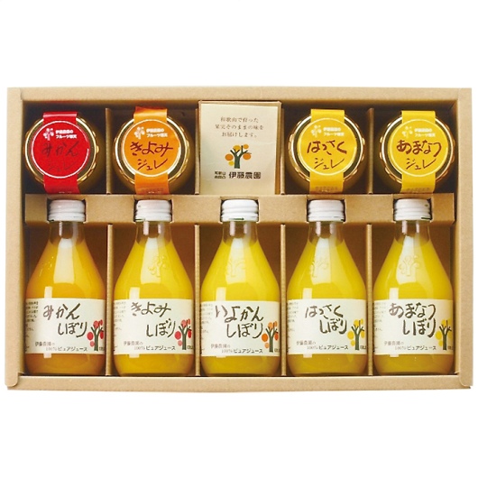 ɓ_ 100sAW[XWZbg V-113 摜1