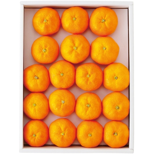 �n�E�X�݂��� YO-571 [�Y���i] �摜1