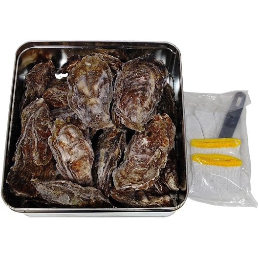 �L�������Ƌ����g���A���� �L�����y�̃J���J���Ă� H-KY16 [�Y���i] �摜1