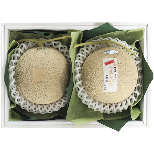 _Cʉ ׃ MSK-10RW 摜1