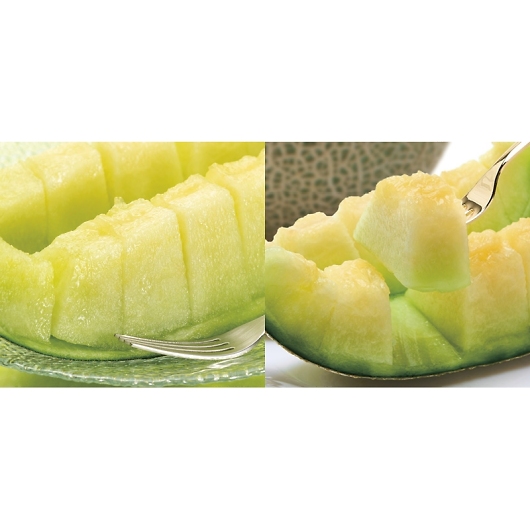 _Cʉ ׃ MSK-10RW 摜2