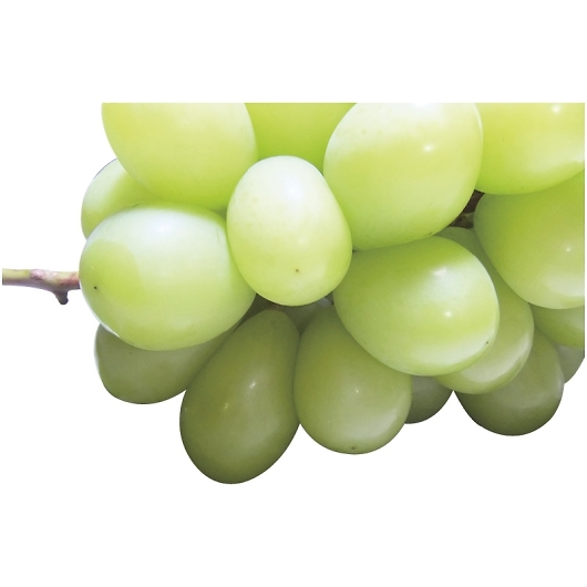 _Cʉ VC}XJbg SYM-80RW 摜1