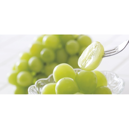 _Cʉ VC}XJbg SYM-80RW 摜2