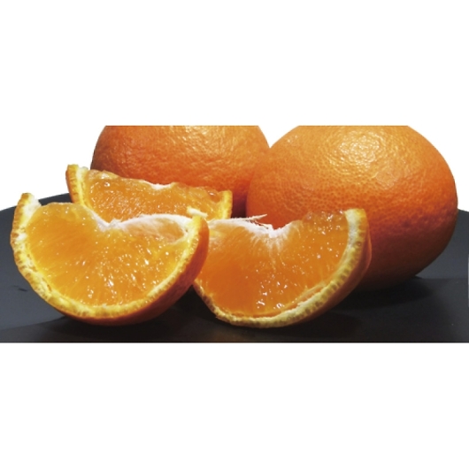 _Cʉ QY g܂ǂ MDO-60RW 摜2