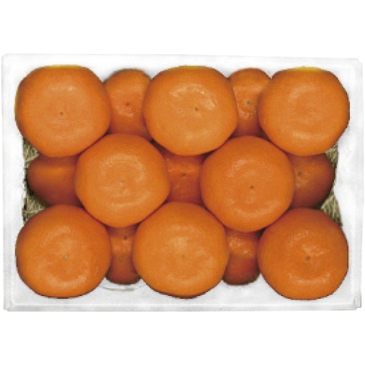 _Cʉ QY ݂Ȃ݂̂ EHM-42RW 摜1