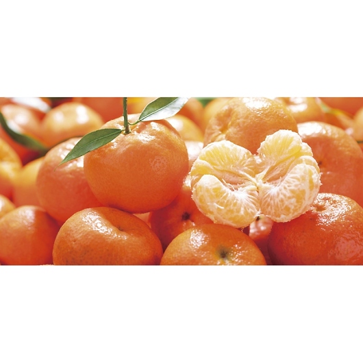 _Cʉ QY ݂Ȃ݂̂ EHM-42RW 摜2