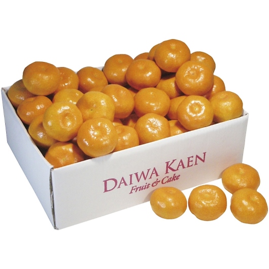 _Cʉ a̎RY Lc݂ AM-50RW 摜1